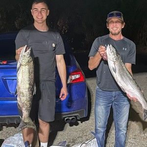 Meet your Posher, Roy